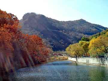 新澳天天开奖资料大全旅游团，丫头站住别跑